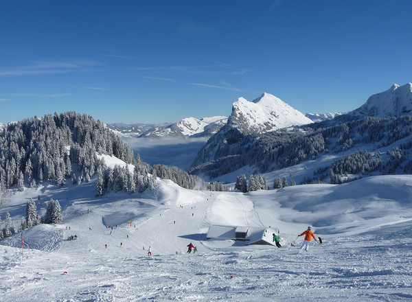 Bregenzerwaldhotels - Skifahren