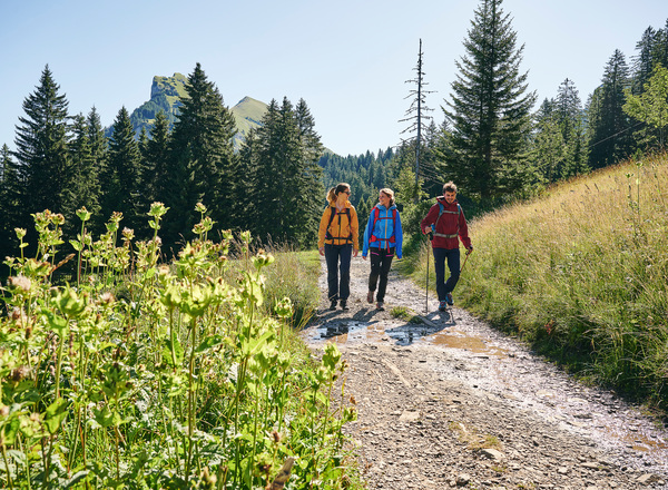 Wandern zwischen Bergstation Mellaubahn und Alpe Kanis (c) Alex Kaiser - Bregenzerwald Tourismus